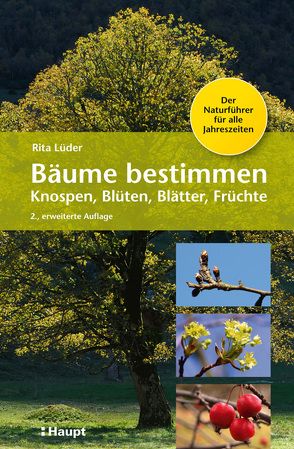 Bäume bestimmen – Knospen, Blüten, Blätter, Früchte von Lüder,  Rita