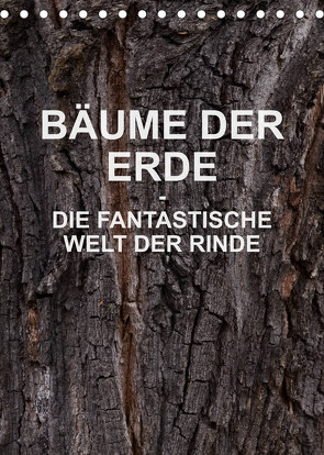 BÄUME DER ERDE – DIE FANTASTISCHE WELT DER RINDE (Tischkalender 2023 DIN A5 hoch) von Schreiter,  Martin