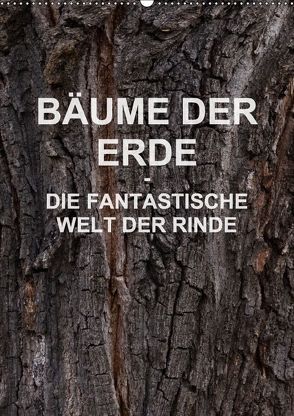 BÄUME DER ERDE – DIE FANTASTISCHE WELT DER RINDE (Wandkalender 2018 DIN A2 hoch) von Schreiter,  Martin
