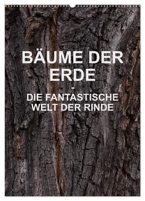 BÄUME DER ERDE – DIE FANTASTISCHE WELT DER RINDE (Wandkalender 2024 DIN A2 hoch), CALVENDO Monatskalender von Schreiter,  Martin