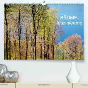 Bäume-faszinierend (Premium, hochwertiger DIN A2 Wandkalender 2022, Kunstdruck in Hochglanz) von Jaeger,  Thomas