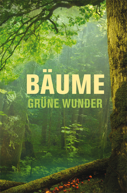 Bäume – grüne Wunder von Pieper,  Katrin