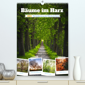 Bäume im Harz (Premium, hochwertiger DIN A2 Wandkalender 2024, Kunstdruck in Hochglanz) von Gierok-Latniak,  Steffen