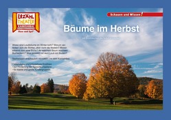 Bäume im Herbst / Kamishibai Bildkarten von Sangu,  Verena