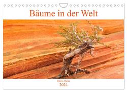 Bäume in der Welt (Wandkalender 2024 DIN A4 quer), CALVENDO Monatskalender von Alicke,  Björn