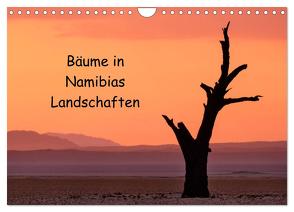 Bäume in Namibias Landschaften (Wandkalender 2024 DIN A4 quer), CALVENDO Monatskalender von Berger,  Anne
