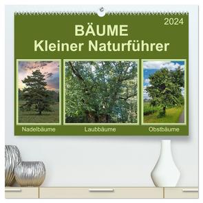 Bäume Kleiner Naturführer (hochwertiger Premium Wandkalender 2024 DIN A2 quer), Kunstdruck in Hochglanz von Kleemann,  Claudia