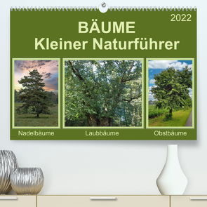 Bäume Kleiner Naturführer (Premium, hochwertiger DIN A2 Wandkalender 2022, Kunstdruck in Hochglanz) von Kleemann,  Claudia