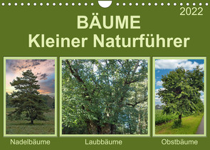 Bäume Kleiner Naturführer (Wandkalender 2022 DIN A4 quer) von Kleemann,  Claudia