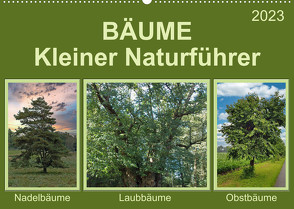 Bäume Kleiner Naturführer (Wandkalender 2023 DIN A2 quer) von Kleemann,  Claudia