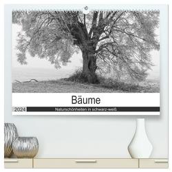 Bäume – Naturschönheiten in schwarz-weiß (hochwertiger Premium Wandkalender 2024 DIN A2 quer), Kunstdruck in Hochglanz von Beuck,  Angelika