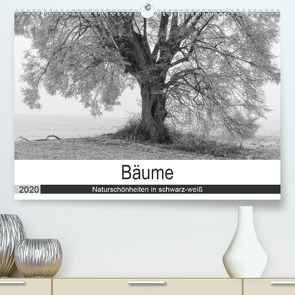Bäume – Naturschönheiten in schwarz-weiß (Premium, hochwertiger DIN A2 Wandkalender 2020, Kunstdruck in Hochglanz) von Beuck,  Angelika