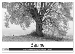 Bäume – Naturschönheiten in schwarz-weiß (Tischkalender 2024 DIN A5 quer), CALVENDO Monatskalender von Beuck,  Angelika