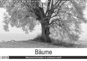 Bäume – Naturschönheiten in schwarz-weiß (Wandkalender 2018 DIN A4 quer) von Beuck,  Angelika