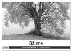 Bäume – Naturschönheiten in schwarz-weiß (Wandkalender 2024 DIN A4 quer), CALVENDO Monatskalender von Beuck,  Angelika