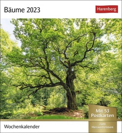Bäume Postkartenkalender 2023. Fotokalender mit 53 Postkarten zum Sammeln und Verschicken. Dekorative Baum-Aufnahmen von bekannten Fotografen. Kleiner Tischkalender 2023. von Harenberg