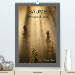 BÄUME (Premium, hochwertiger DIN A2 Wandkalender 2023, Kunstdruck in Hochglanz) von Henry,  Philippe