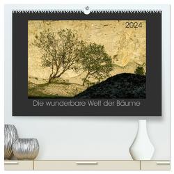 Bäume quer (hochwertiger Premium Wandkalender 2024 DIN A2 quer), Kunstdruck in Hochglanz von Bücker,  Michael