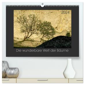 Bäume quer (hochwertiger Premium Wandkalender 2024 DIN A2 quer), Kunstdruck in Hochglanz von Bücker,  Michael