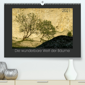 Bäume quer (Premium, hochwertiger DIN A2 Wandkalender 2021, Kunstdruck in Hochglanz) von Bücker,  Michael