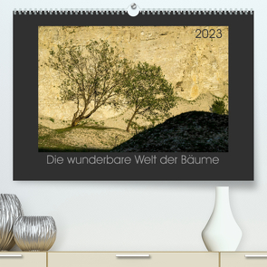 Bäume quer (Premium, hochwertiger DIN A2 Wandkalender 2023, Kunstdruck in Hochglanz) von Bücker,  Michael