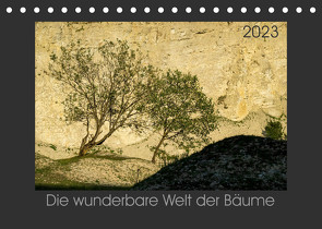 Bäume quer (Tischkalender 2023 DIN A5 quer) von Bücker,  Michael