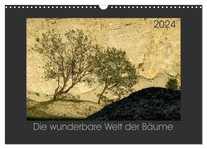 Bäume quer (Wandkalender 2024 DIN A3 quer), CALVENDO Monatskalender von Bücker,  Michael
