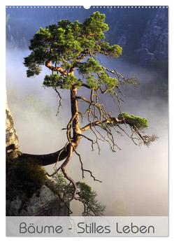 Bäume – Stilles Leben (Wandkalender 2024 DIN A2 hoch), CALVENDO Monatskalender von Behr,  Jana