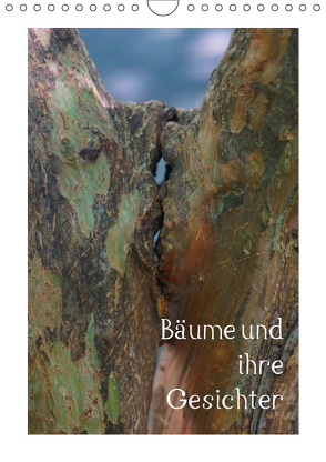 Bäume und ihre Gesichter (Wandkalender 2019 DIN A4 hoch) von Struve,  Andreas