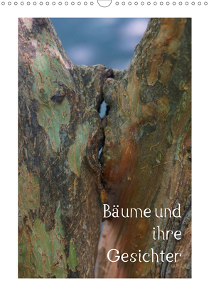 Bäume und ihre Gesichter (Wandkalender 2020 DIN A3 hoch) von Struve,  Andreas
