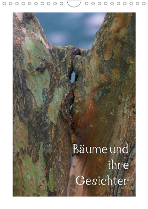 Bäume und ihre Gesichter (Wandkalender 2021 DIN A4 hoch) von Struve,  Andreas