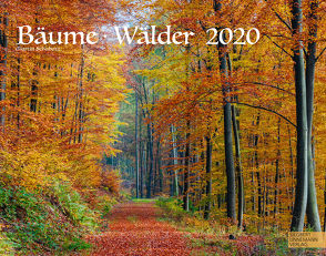 Bäume-Wälder 2020 von Linnemann Verlag