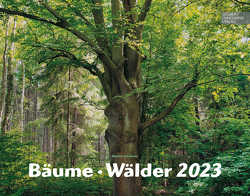 Bäume-Wälder 2023 von Linnemann Verlag
