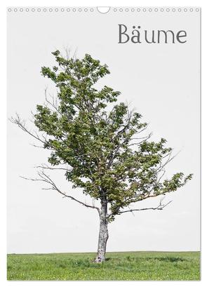 Bäume (Wandkalender 2024 DIN A3 hoch), CALVENDO Monatskalender von von Felbert,  Peter