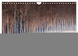 Bäume (Wandkalender 2024 DIN A4 quer), CALVENDO Monatskalender von Cross,  Martina