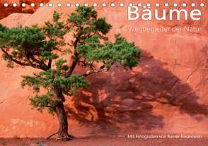 Bäume – Wegbegleiter der Natur (Tischkalender 2021 DIN A5 quer) von Kiedrowski,  Rainer
