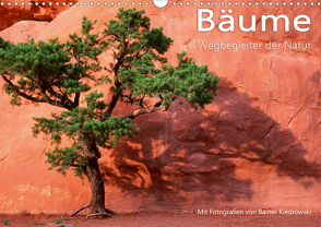 Bäume – Wegbegleiter der Natur (Wandkalender 2021 DIN A3 quer) von Kiedrowski,  Rainer