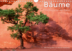 Bäume – Wegbegleiter der Natur (Wandkalender 2021 DIN A4 quer) von Kiedrowski,  Rainer