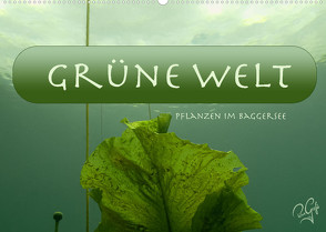 Baggersee – die grüne Welt (Wandkalender 2022 DIN A2 quer) von PetraGrafie143