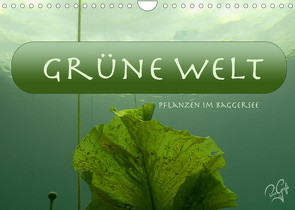 Baggersee – die grüne Welt (Wandkalender 2022 DIN A4 quer) von PetraGrafie143