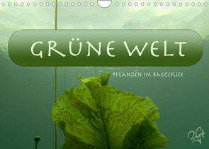 Baggersee – die grüne Welt (Wandkalender 2023 DIN A4 quer) von PetraGrafie143