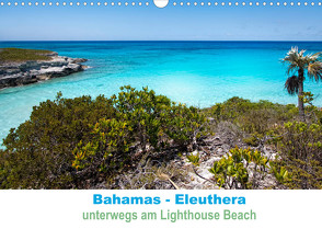 Bahamas-Eleuthera unterwegs am Lighthouse Beach (Wandkalender 2022 DIN A3 quer) von Petra Voß,  ppicture-