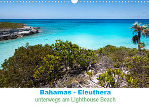 Bahamas-Eleuthera unterwegs am Lighthouse Beach (Wandkalender 2023 DIN A3 quer) von Petra Voß,  ppicture-