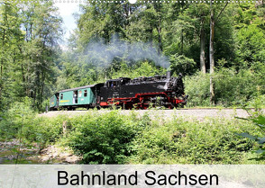 Bahnland Sachsen (Wandkalender 2022 DIN A2 quer) von Bujara,  André