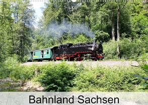 Bahnland Sachsen (Wandkalender 2023 DIN A2 quer) von Bujara,  André
