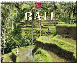 Bali von Zaglitsch,  Hans