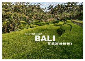 Bali – Indonesien (Tischkalender 2024 DIN A5 quer), CALVENDO Monatskalender von Schickert,  Peter