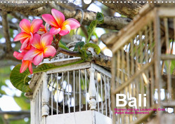 Bali (Wandkalender 2023 DIN A3 quer) von Baumgartner,  Katja