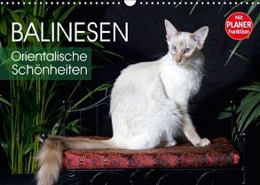 Balinesen – Orientalische Schönheiten (Wandkalender 2018 DIN A3 quer) von Scholze,  Verena