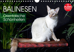 Balinesen – Orientalische Schönheiten (Wandkalender 2021 DIN A4 quer) von Scholze,  Verena